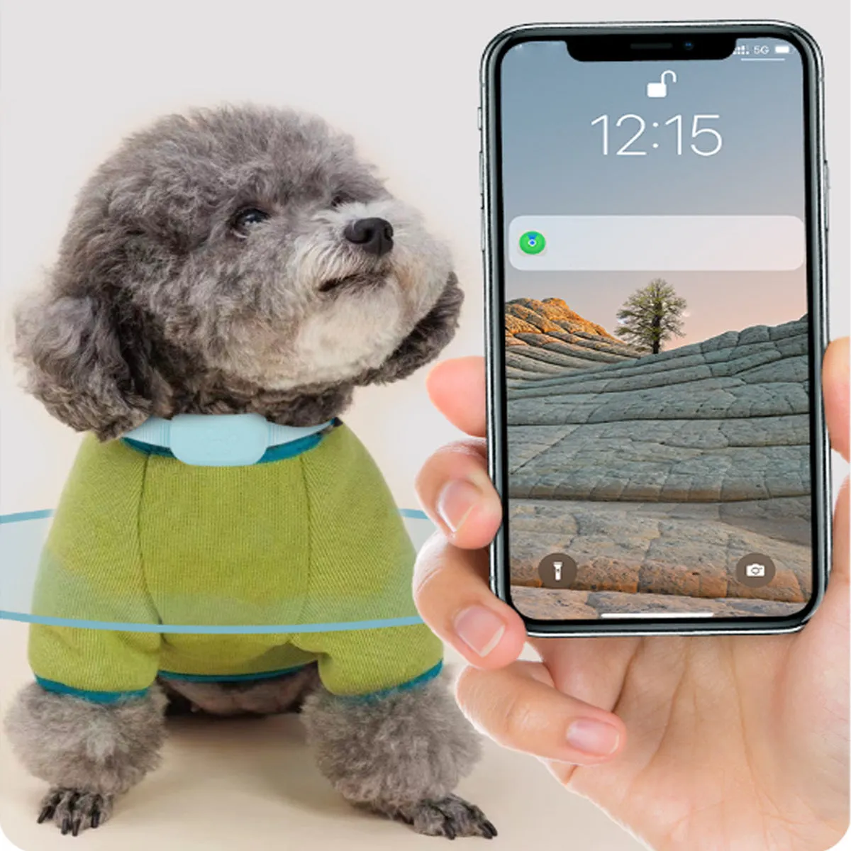 Find My Pet MFI Certified Activity Tracker for your Dog